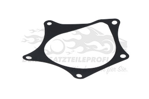 Wasserpumpendichtung