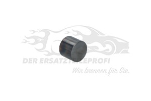 9675893480 Hydrostößel Citroen