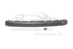 Zier- Schutzleiste für Kühlergitter