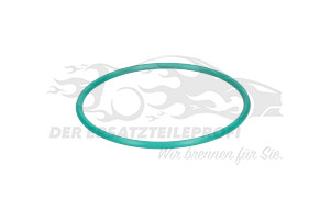 4461059 Dichtung für Kraftstoff-Fördereinheit 