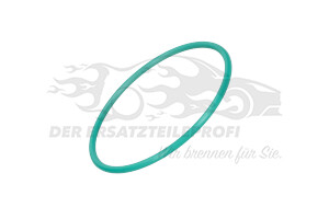 4461059 Dichtung für Kraftstoff-Fördereinheit 