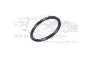 5198199 Dichtung Thermostatgehäuse 
