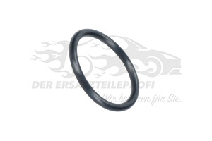 5198199 Dichtung Thermostatgehäuse 