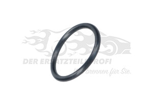 5198199 Dichtung Thermostatgehäuse 