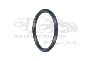 5198199 Dichtung Thermostatgehäuse 