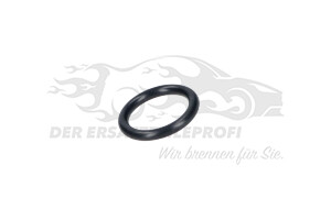 5198200 Dichtung Thermostatgehäuse 