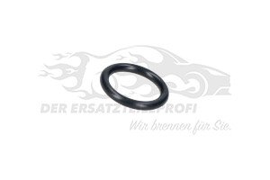 5198200 Dichtung Thermostatgehäuse 