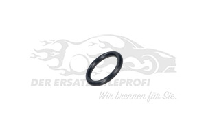 5198200 Dichtung Thermostatgehäuse 