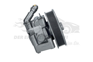 2310189 Servopumpe mit Riemenscheibe 