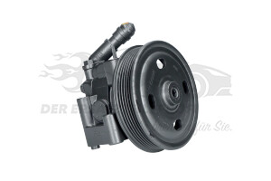 2310189 Servopumpe mit Riemenscheibe 