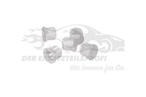 Lager für Kupplungshebel