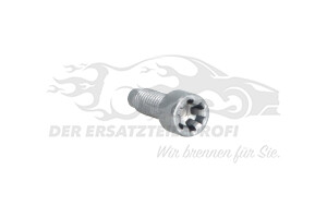 Zentrierschraube für Riemenscheibe Kurbelwelle Fiat 55261930