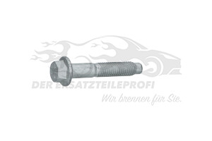 7703002592 Schraube für Umlenkrolle Keilriemen Renault