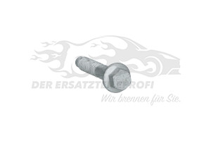Schraube für Umlenkrolle Renault 7703002592