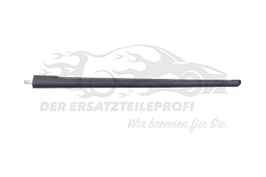282153494R Antennenstab Renault