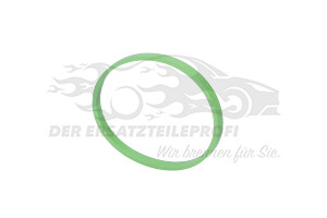 Dichtring Drosselklappenstutzen