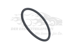 2125417 Dichtung, Einspritzpumpe Commonrail 