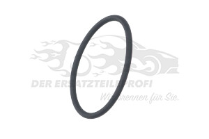 2125417 Dichtung, Einspritzpumpe Commonrail 