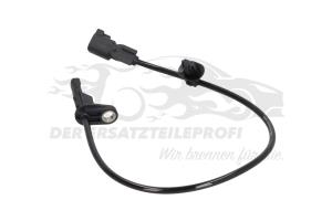 2492310 ABS Sensor hinten 