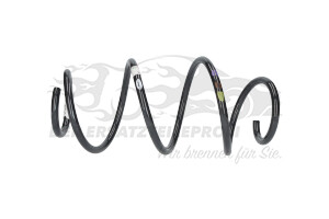Fahrwerksfedern Renault 540105062R