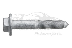 362268 Schraube Citroen / Peugeot / Opel