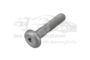Schraube für Querlenker