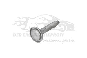 Schraube für Querlenker