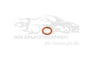 RINGDICHTUNG FÜR LENKUNG