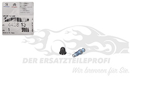 ENTLÜFTSCHRAUBE BREMSZYLINDER
