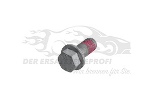 Schraube für Bremssattel Citroen / Peugeot / Opel 440545