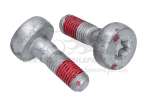 440547 BEF SCHRAUBE FÜR BREMSSATTEL Citroen / Peugeot / Opel