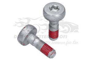 440547 BEF SCHRAUBE FÜR BREMSSATTEL Citroen / Peugeot / Opel