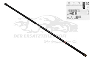 Drehstab für Hinterachse