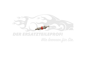 Ventileinsatz für Reifenventil