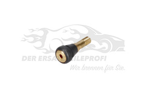 540423 Reifenventil, komplett Citroen / Peugeot / Opel