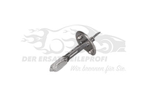 621698 Glühlampe Citroen / Peugeot / Opel