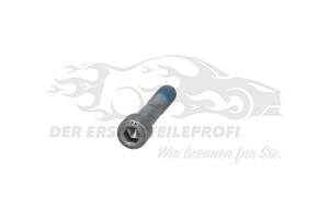 6913V0 Spezialschraube Citroen / Peugeot / Opel