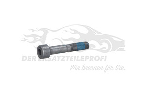 6913V0 Spezialschraube Citroen / Peugeot / Opel