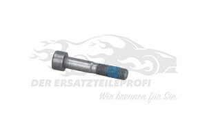 6913V0 Spezialschraube Citroen / Peugeot / Opel