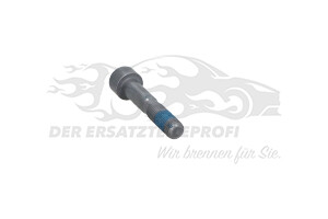 6913V0 Spezialschraube Citroen / Peugeot / Opel
