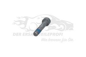 6913V0 Spezialschraube Citroen / Peugeot / Opel