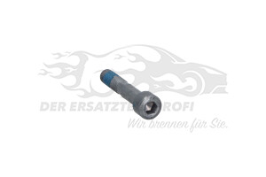 Schraube Citroen / Peugeot / Opel 6913V0