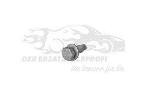 Schraube Citroen / Peugeot / Opel 6923F6