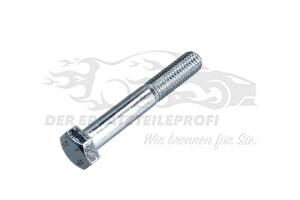 Schraube Citroen / Peugeot / Opel 692135