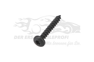 6924E9 SCHRAUBE CBLX Citroen / Peugeot / Opel
