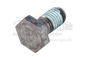 691489 Schwungradschraube Citroen / Peugeot / Opel