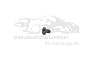 Schraube für Zündschloss