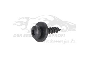 Schraube Citroen / Peugeot / Opel 6925L3