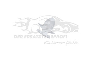 682382 BEFESTIGUNGSKLAMMER Citroen / Peugeot / Opel