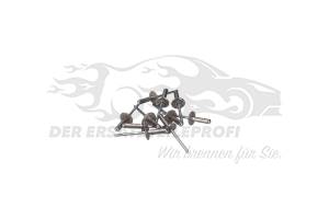 Niete Citroen / Peugeot / Opel 697035